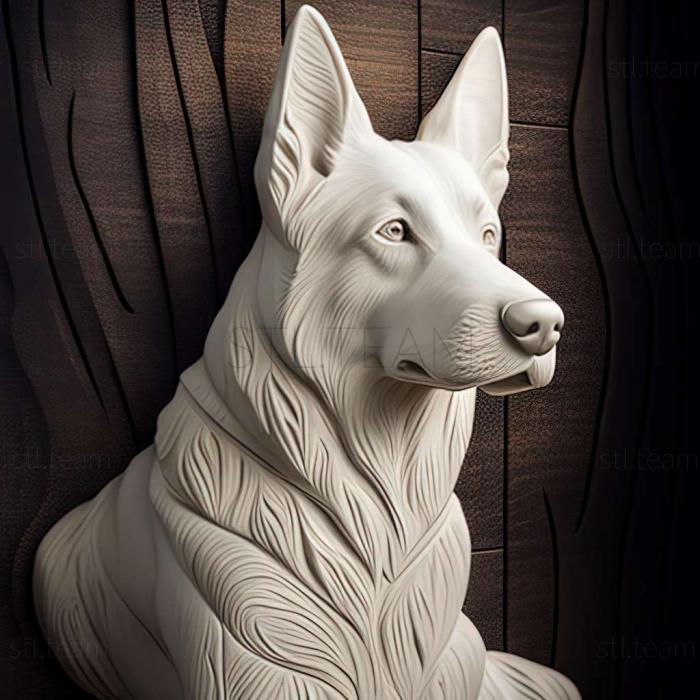 3D model White Swiss Shepherd dog (STL)
